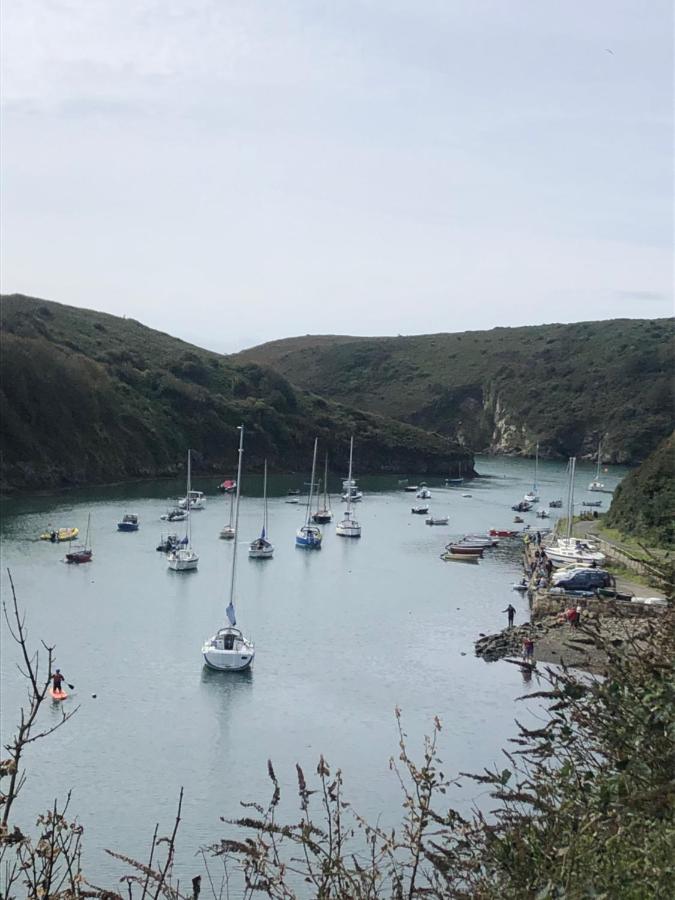 Tremanhire * Solva